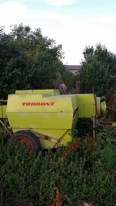 aaa